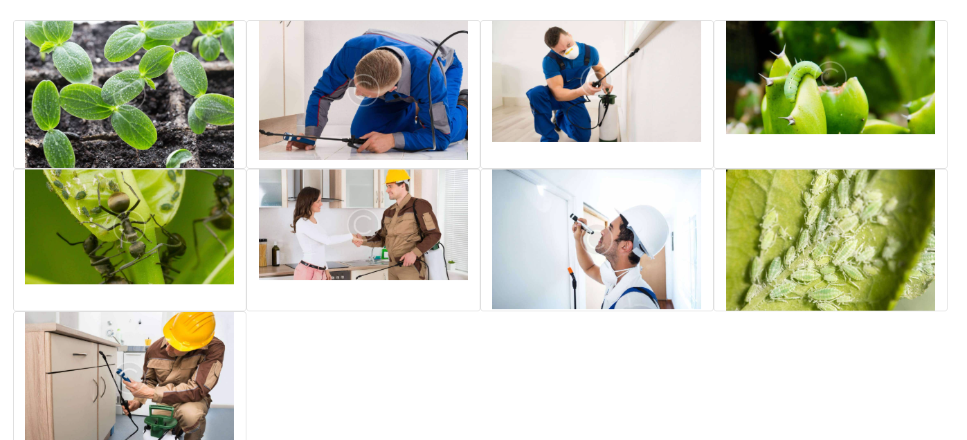 26583general-pest-managment.png