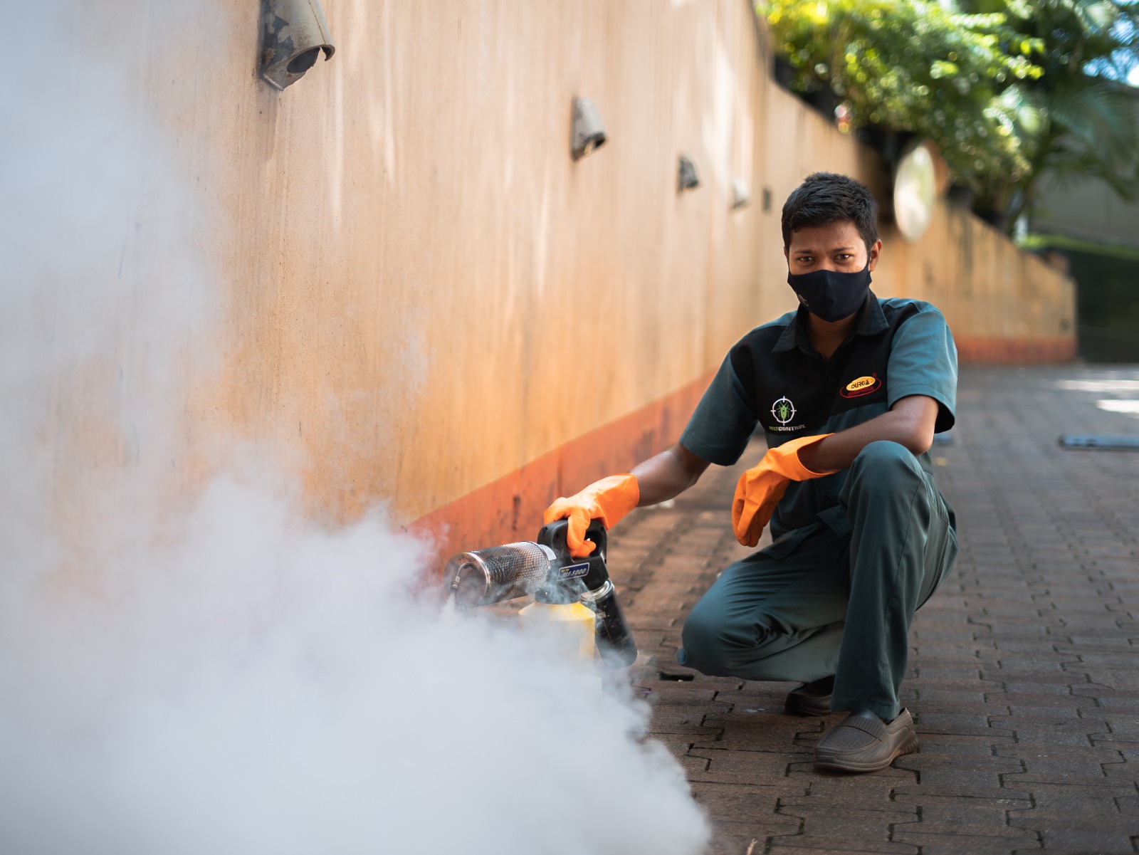 50720pest-management.jpeg
